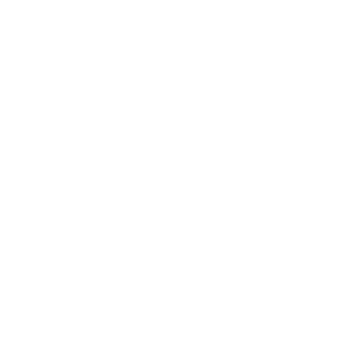 Customized Program Icon